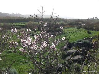 lle del Simeto-24-02-2013 09-07-58